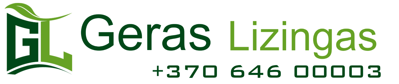 Geras Lizingas
